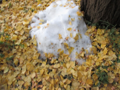 e0191034_045270.jpg