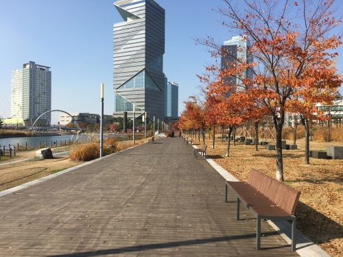 a0158241_20465233.jpg