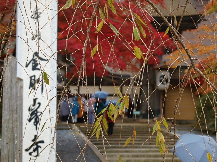 c0281841_1637147.jpg