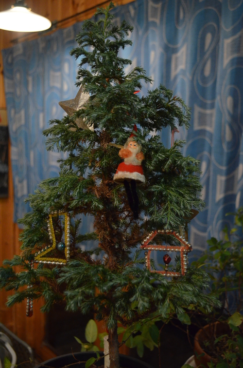 ミルのX\'mas!_b0207642_13383982.jpg