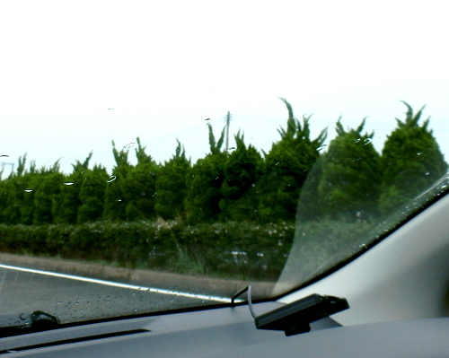 d0026745_00342857.jpg