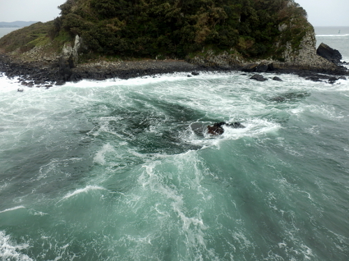 d0026745_00355645.jpg