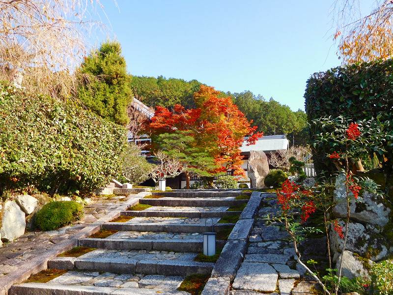 江戸時代創建の紅葉が見事な『圓光寺』20161112_e0237645_14554722.jpg