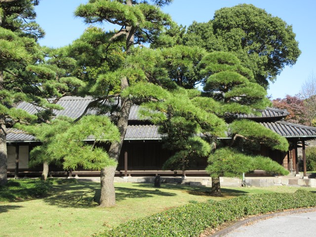 【晩秋の皇居東御苑】本丸界隈（天守台・富士見多聞・松の大廊下跡・富士見櫓）_b0009849_18493391.jpg