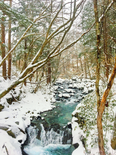 e0248949_01135020.jpg