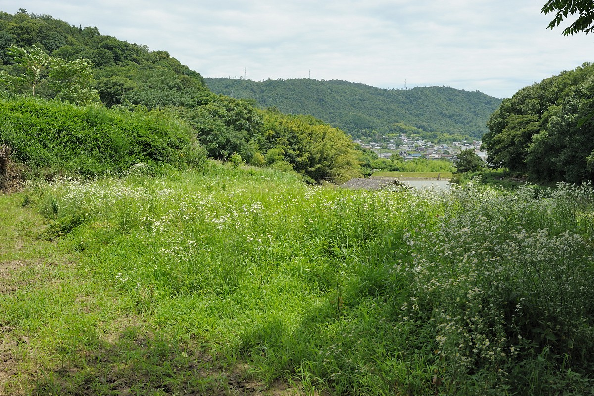 耕作放棄地を巡る[IV] 竹光天然流