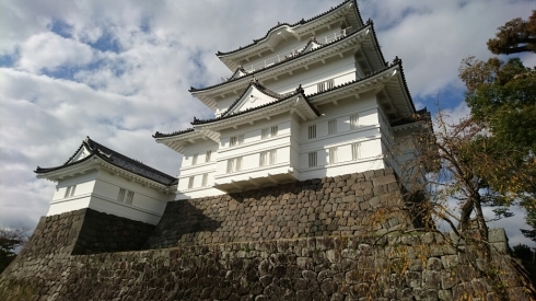 d0068151_16164637.jpg