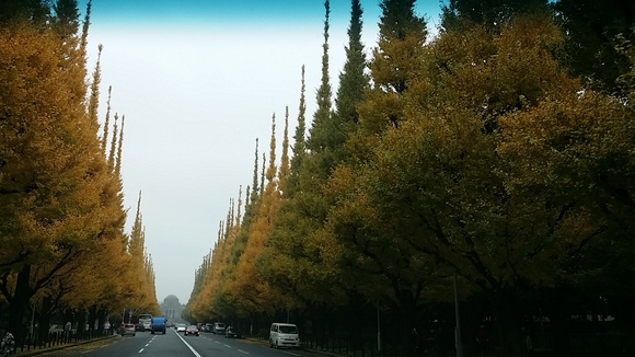 f0188652_912772.jpg