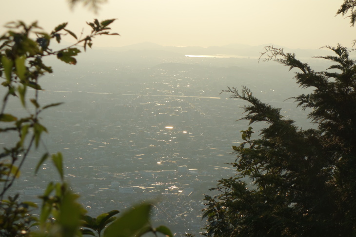 d0345153_15415572.jpg