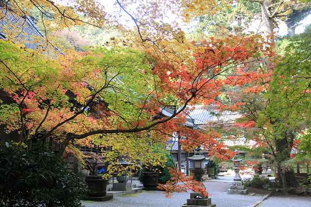 １１月１２日　　世羅町　今高野山の紅葉_f0340155_10363935.jpg