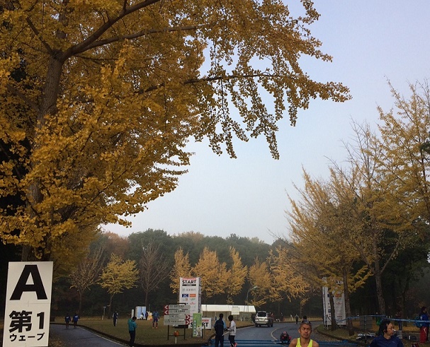 a0242657_22115084.jpg