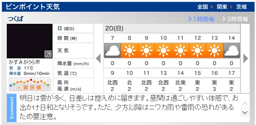 第３６回　つくばマラソン　2016　（詳細報告）_a0242657_2228448.jpg