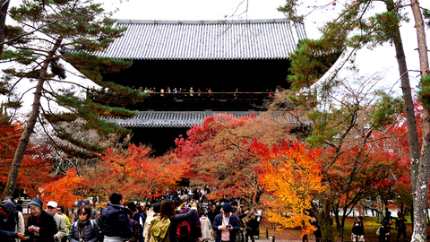 紅葉をもとめて③　旧三井家下鴨別邸ほか　（2016/11/23）_b0048558_15281759.jpg