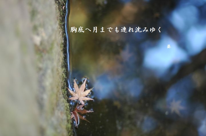 f0379160_20450193.jpg