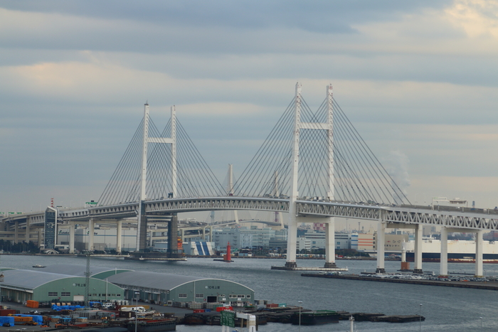 d0152261_1555144.jpg