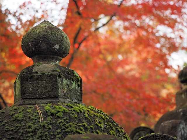 平林寺(その１）_b0361063_14191342.jpg