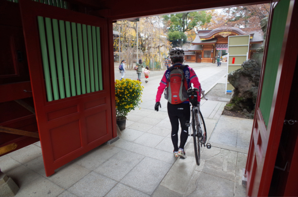 11月27日 大国魂神社にて…祝！スグロくん、でんちゃん！！_a0232368_20240633.jpg