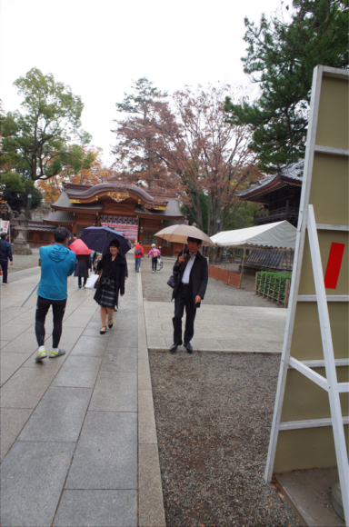 11月27日 大国魂神社にて…祝！スグロくん、でんちゃん！！_a0232368_20240672.jpg