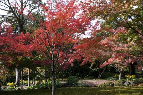 e0177271_08331966.jpg