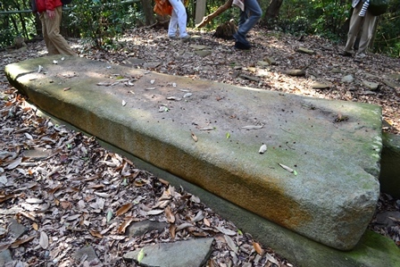 d0163073_08335277.jpg