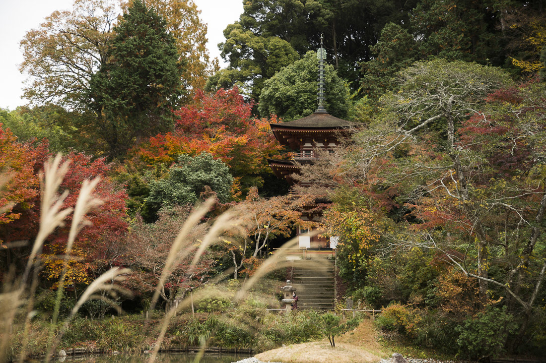 浄瑠璃寺の紅葉　2_a0301676_12183016.jpg