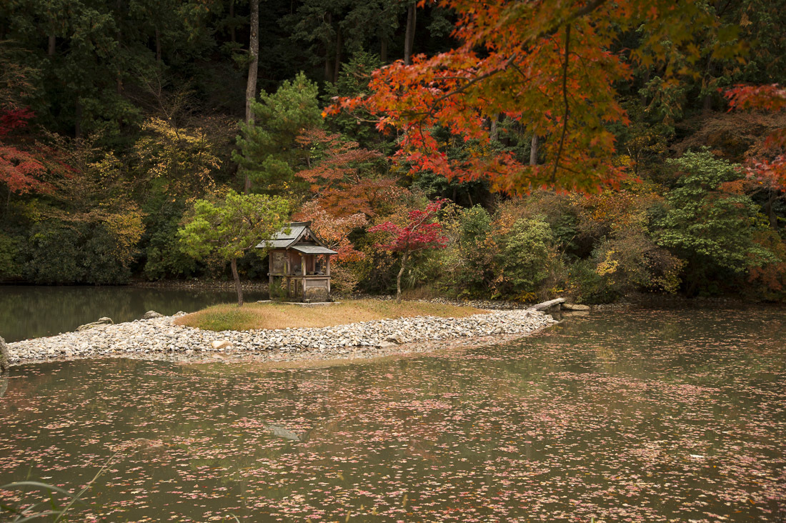 浄瑠璃寺の紅葉　2_a0301676_12183521.jpg