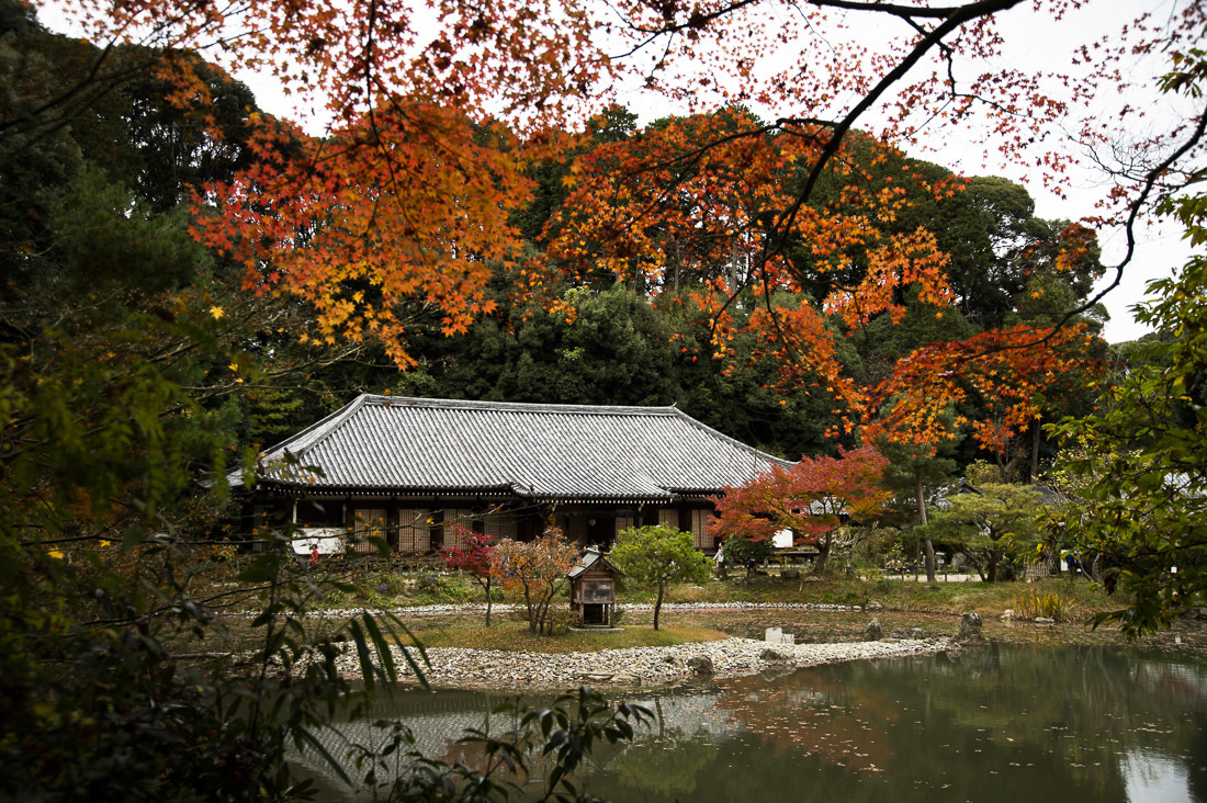 浄瑠璃寺の紅葉　2_a0301676_12184446.jpg