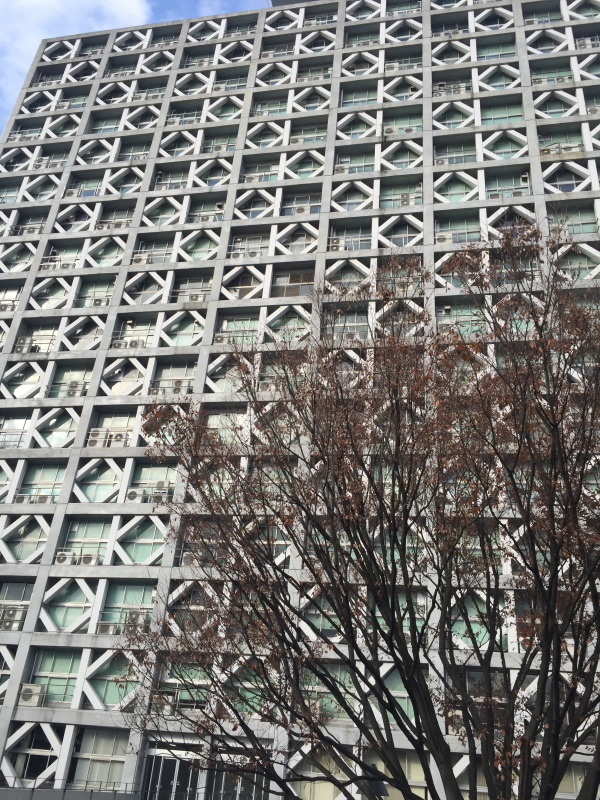 c0366777_22224930.jpg