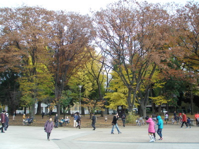 f0007380_16382816.jpg