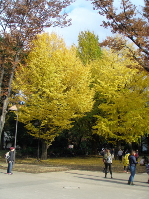 f0007380_16390465.jpg