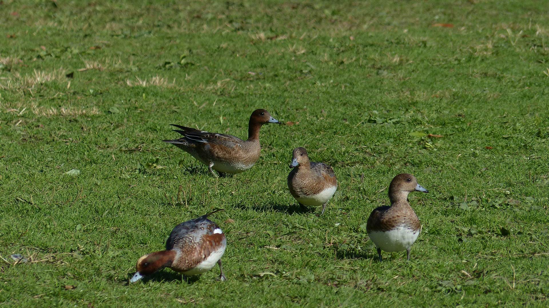 a0185081_1443998.jpg