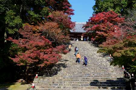 京都　高雄山　神護寺　⑤_c0229483_0244598.jpg