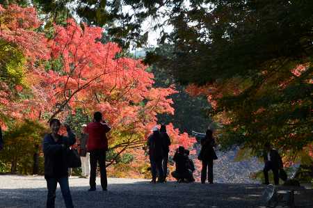 京都　高雄山　神護寺　⑤_c0229483_1310192.jpg