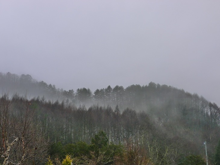 a0130586_9304286.jpg