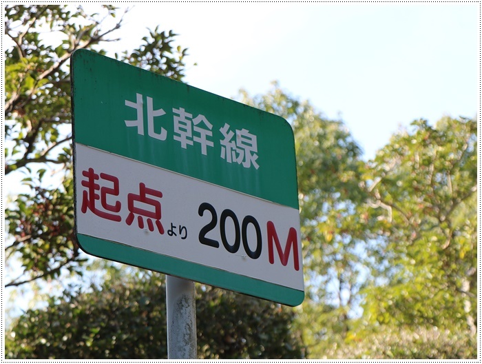 この季節、一度は歩きたいね、高尾山自然公園 その1 北幹線にて_b0175688_15513594.jpg