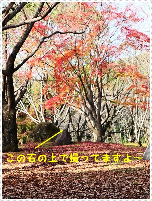 この季節、一度は歩きたいね高尾山自然公園 その2 残り少ない紅葉をバックに_b0175688_20163441.jpg