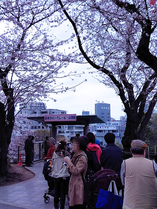 c0001491_1313291.jpg