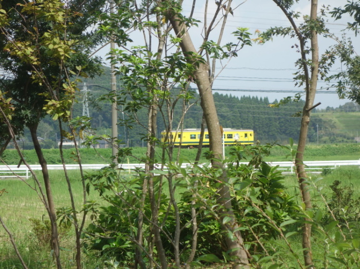 d0021491_20032299.jpg