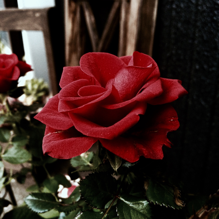 d0350392_07540703.jpg