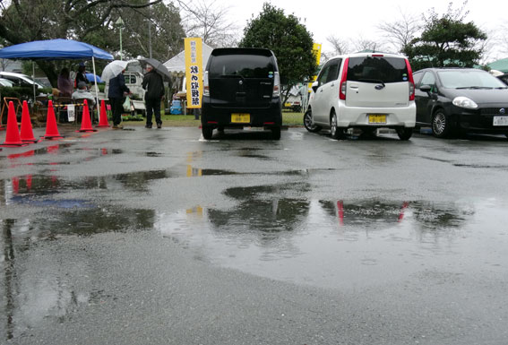 雨の収穫祭盛大に_b0145296_14303062.jpg