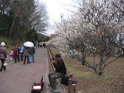 堺市・荒山公園梅林_e0362696_14352302.jpg