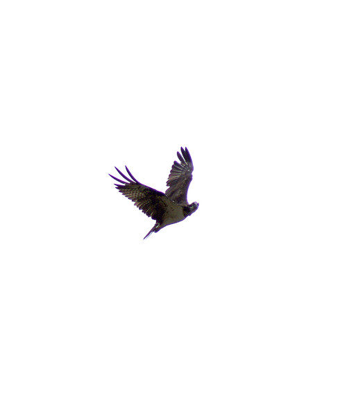 e0362696_15290422.jpg