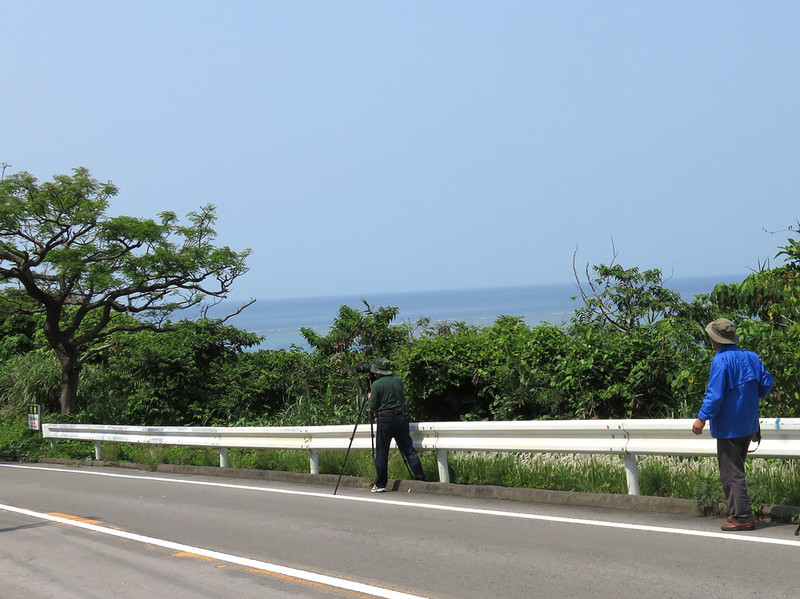 カンムリワシ（石垣島遠征⑰）_e0362696_15513360.jpg