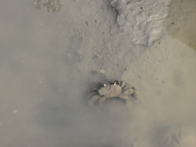 f0346196_17552166.jpg