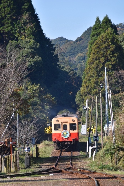 e0003097_20032596.jpg