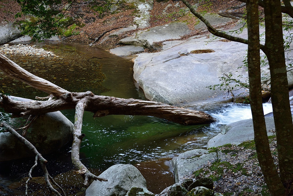 d0288500_22322348.jpg