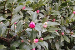 b0364601_09372426.jpg