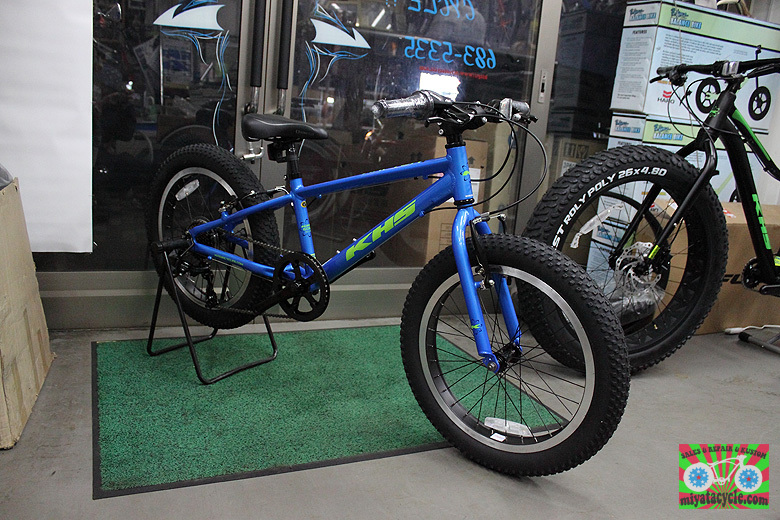 KHS RAPTOR+_e0126901_09372585.jpg
