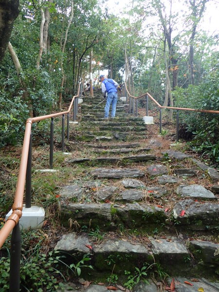 名勝和歌の浦クリーンアップ隊　奠供山と鏡山_c0367107_12423226.jpg