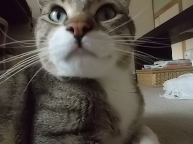 小さい頃の動画と 「♪時代♫」_f0316507_20594987.jpg